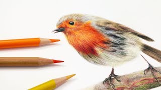 How To Draw Feathers with Colored Pencil [upl. by Ahsiaa]