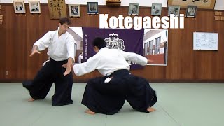 Aikido ・ Kotegaeshi Basic amp Variations [upl. by Acissehc]