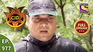 CID  सीआईडी  Ep 977 Jungle Mystery  Full Episode [upl. by Volin]