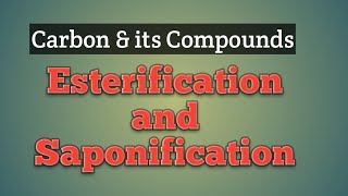 Chemical Reactions Part 4  Esterification  Saponification [upl. by Eudoxia]