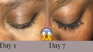 7 DAY OF CASTOR OIL GREW MY EYELASHES CRAZY RESULTS [upl. by Asilef]