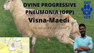 Ovine Progressive PneumoniaVISNAMAEDI [upl. by Nemlaz]