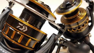 Daiwa BG vs Penn Battle II Whats the Difference  Comparison and Review [upl. by Yenwat]