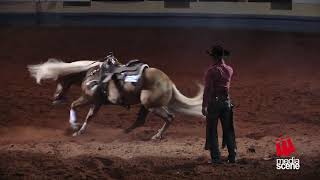 Reining Horse Spin without rider [upl. by Korman]