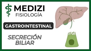 Clase 51 Fisiología Gastrointestinal  Secreción Biliar IGdoctorpaiva [upl. by Onitselec535]