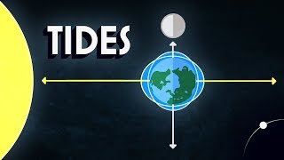 Neil deGrasse Tyson Explains the Tides [upl. by Ani]