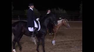 east meets west reining vs dressage [upl. by Vial]