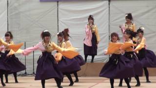 実践女子大・短大ＷＩＮＧさん＠2010 常陸国ＹＯＳＡＫＯＩ祭り [upl. by Ger699]