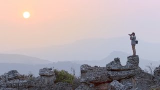 The Wild Wonders of South Africa  National Geographic [upl. by Anayra]