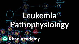 Leukemia pathophysiology  Hematologic System Diseases  NCLEXRN  Khan Academy [upl. by Stiles]