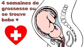 4 semaines de grossesse ou se trouve bebe ♥  la grande révélation [upl. by Artnoed]