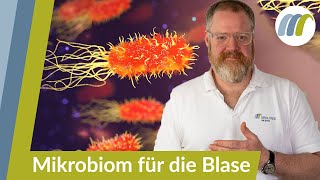 Blasenentzündung vorbeugen  Das Mikrobiom auf Vordermann bringen  Urologie am Ring [upl. by Ahsyekal312]