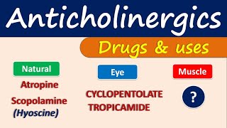 Anticholinergics  Drugs and uses [upl. by Zetnod]