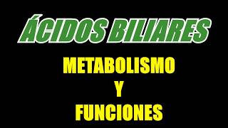 Ácidos biliares  Metabolismo y Funciones [upl. by Notyep494]