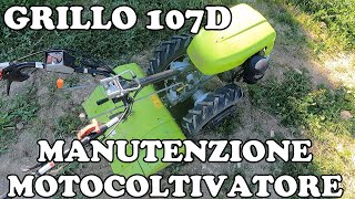 Tagliando e manutenzione motocoltivatore Grillo diesel [upl. by Arzed730]