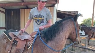 Horse Training  First Ride First Mount [upl. by Evangelina]