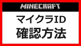 【初心者向け】自分のマイクラIDを確認する方法【マイクラコマンド解説】【Java 1165】 [upl. by Ashton209]