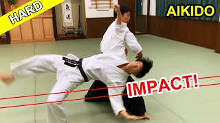 Impact Hard Aikido techniques [upl. by Aihsia557]