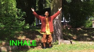 Qi Gong Breathing 7 Minutes to calm body and mind [upl. by Anaejer]