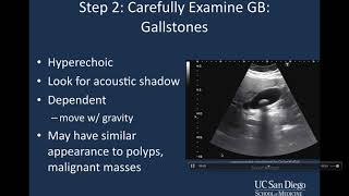 Introduction to Biliary Ultrasound [upl. by Ikir]