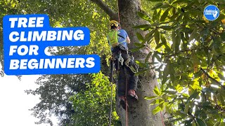 Basic climbing techniques Basic tree ascent [upl. by Demmy127]