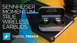 Sennheiser Momentum True Wireless Earbuds Review [upl. by Mauceri46]