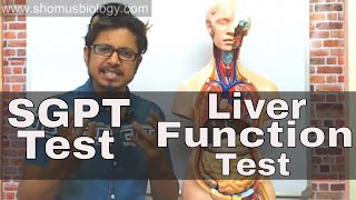 SGPT blood test in Hindi [upl. by Paschasia369]