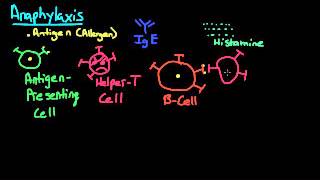 Anaphylaxis Pathophysiology [upl. by Assiroc]