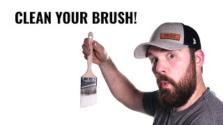 How To Properly Clean a Paint Brush [upl. by Hayimas]