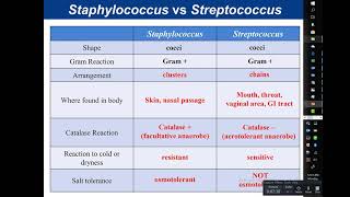 Osmotic diuretics Mannitol and isosorbide [upl. by Zehcnas]