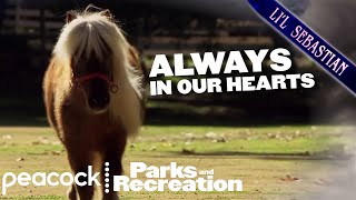 Lil Sebastian Very Special Compilation  Parks and Recreation [upl. by Enej555]