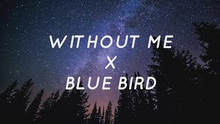 Without Me X Blue Bird  Eminem X Ikimonogakari Lyrics  Tiktok Song [upl. by Eiveneg207]