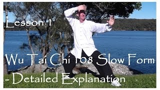 Wu Tai Chi  Lesson 1  Detailed Explanation [upl. by Nilek]