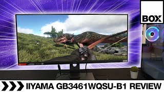 iiyama GMaster GB3461WQSUB1 Red Eagle 144Hz 34quot Gaming Monitor Review [upl. by Hose]