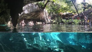 Cenotes of Tulum Mexico  Cancun Snorkeling [upl. by Zitvaa177]