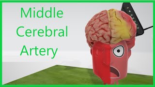 Middle Cerebral Artery Mnemonic [upl. by Vharat]