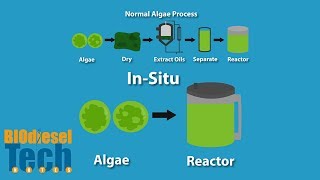 Biodiesel Production Methods [upl. by Sikleb]