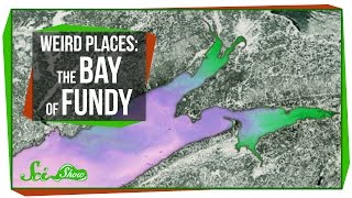 Weird Places The Bay of Fundy [upl. by Crandell]