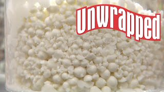 How Dippin Dots Are Made from Unwrapped  Unwrapped  Food Network [upl. by Hanako]