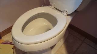 DIY 101 How To Remove amp Replace a Toilet Seat [upl. by Nnairret473]