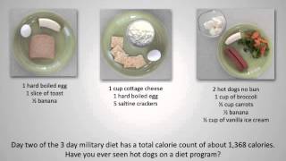 What is The 3 Day Military Diet [upl. by Yrret]