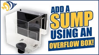 Add a Sump to Your Reef Tank Using an Overflow Box [upl. by Verneuil]