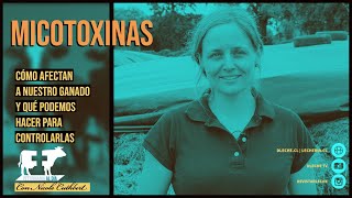 Micotoxinas Qué hacer para controlarlas  Veterinaria Al Día [upl. by Gunas]