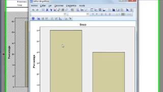 SPSS Análisis Estadístico Frecuencias y Descriptivos [upl. by Parlin333]