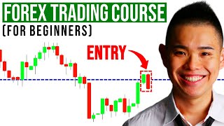 The Ultimate Forex Trading Course For Beginners [upl. by Irol]