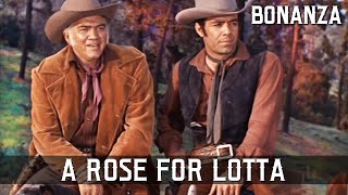 Bonanza  A Rose for Lotta  Episode 01  Western Series  FULL EPISODES  English [upl. by Ycram]