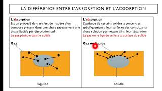 Adsorption Absorption [upl. by Barcot213]