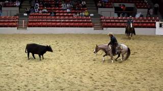 Houston Rodeo Professional Cutting Horse Competition [upl. by Notlaw852]