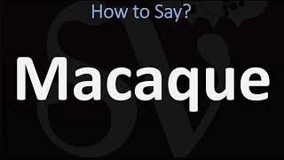 How to Pronounce Macaque CORRECTLY [upl. by Aninaig]