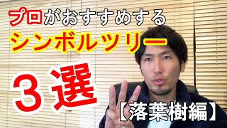 成長が遅く、虫が付きにくいシンボルツリーとは おすすめの【シンボルツリー】3選。落葉樹編 植栽時の注意点も… [upl. by Hamilah]